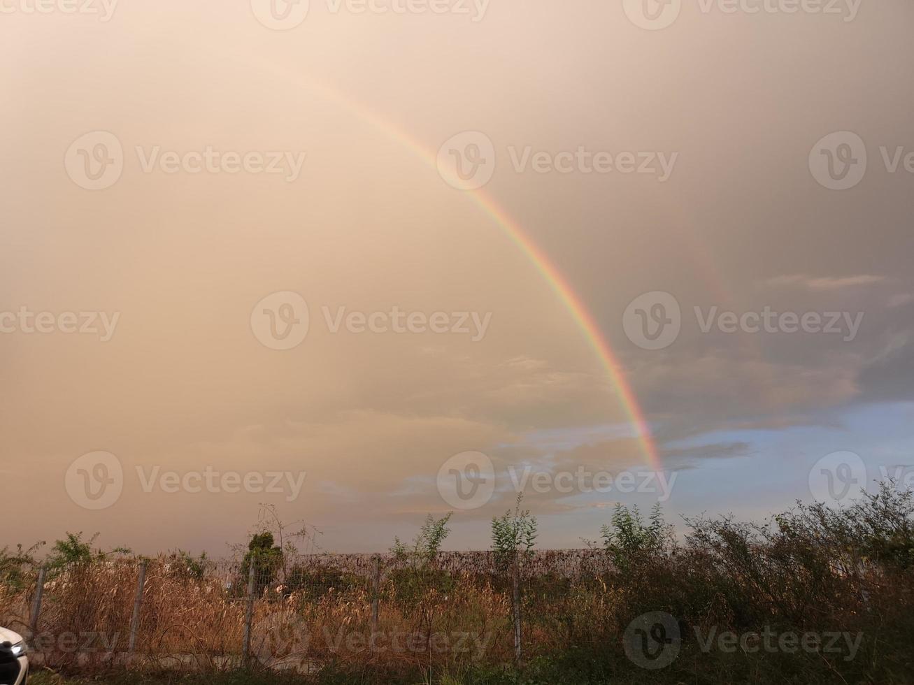 rainbow over the field after rain photo