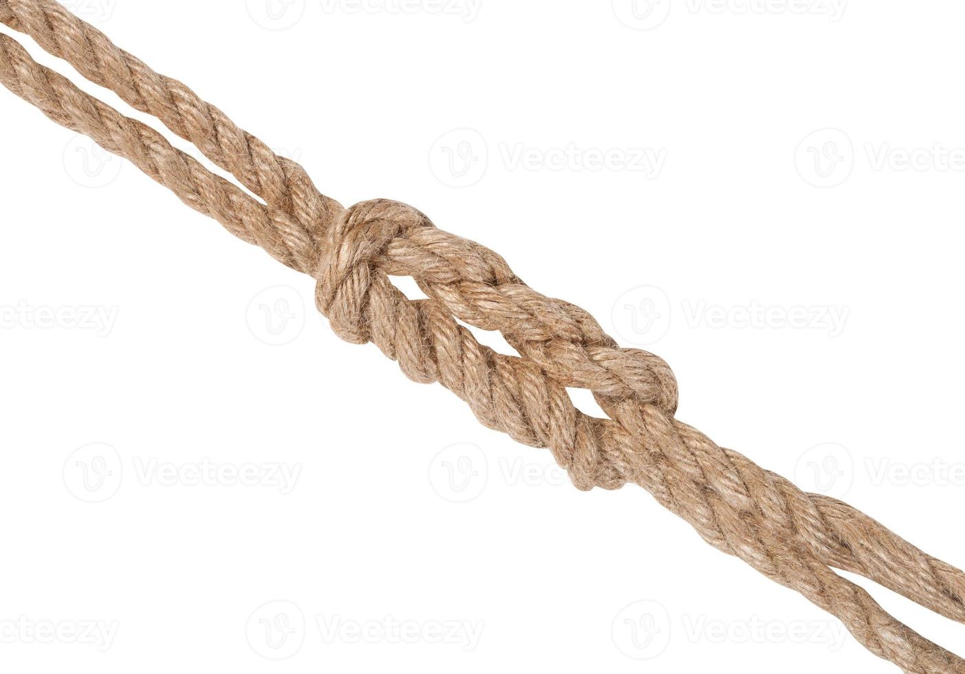 double reef knot joining two ropes isolated photo