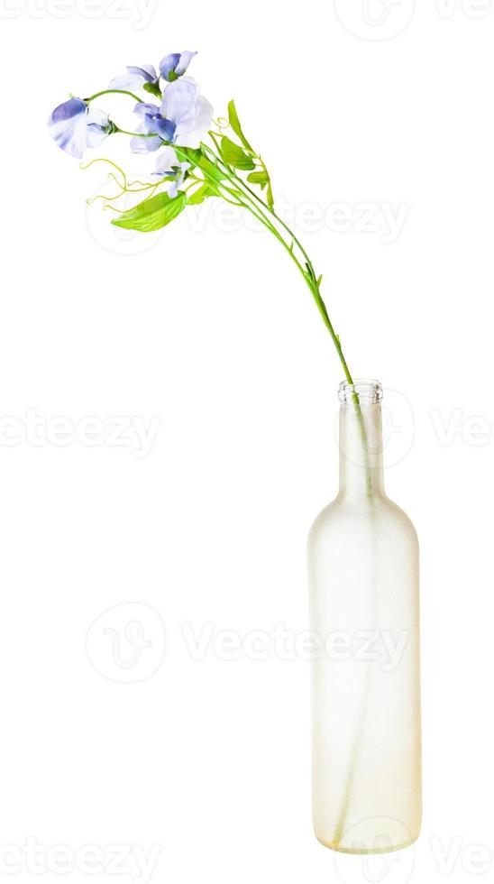 artificial flowers in tinted glass bottle isolated photo