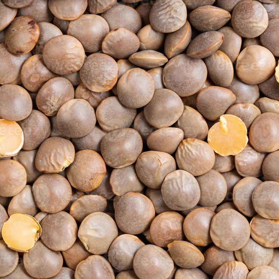 brown unhulled red lentils close up photo