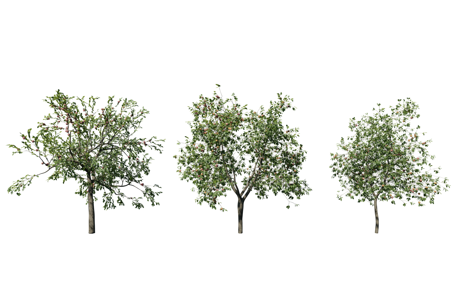 Set of Apple tree transparent background 10832710 PNG