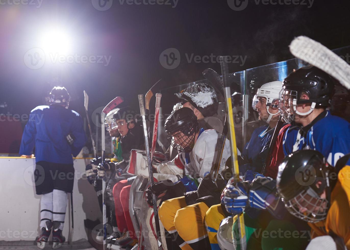 ice hockey players on bench photo