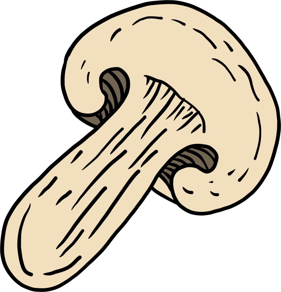 doodle freehand sketch drawing of mushroom vegetable. png