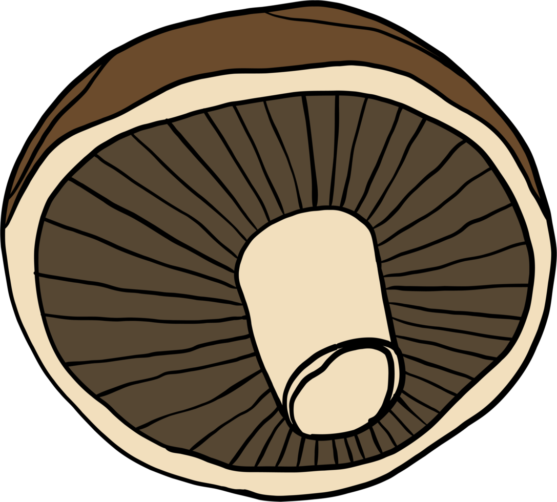 doodle freehand sketch drawing of mushroom vegetable. png