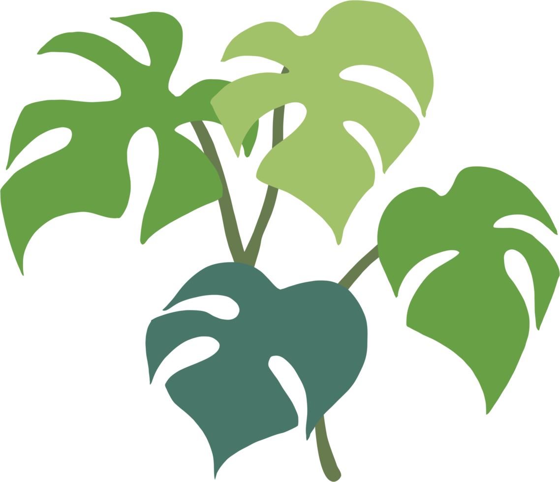 eenvoud monstera plant uit de vrije hand tekenen plat ontwerp. png