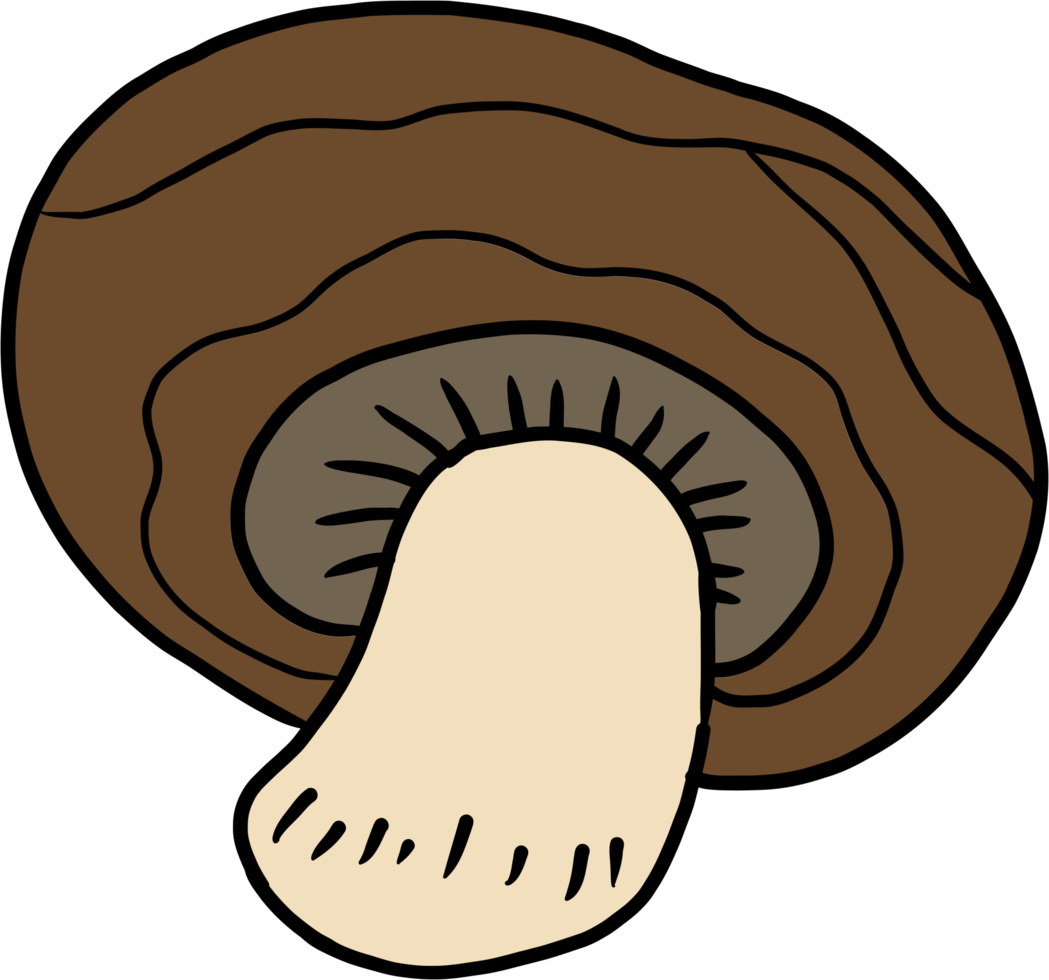 doodle freehand sketch drawing of mushroom vegetable. png