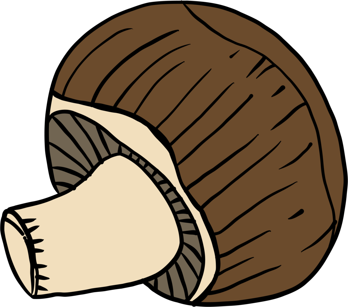 doodle freehand sketch drawing of mushroom vegetable. png