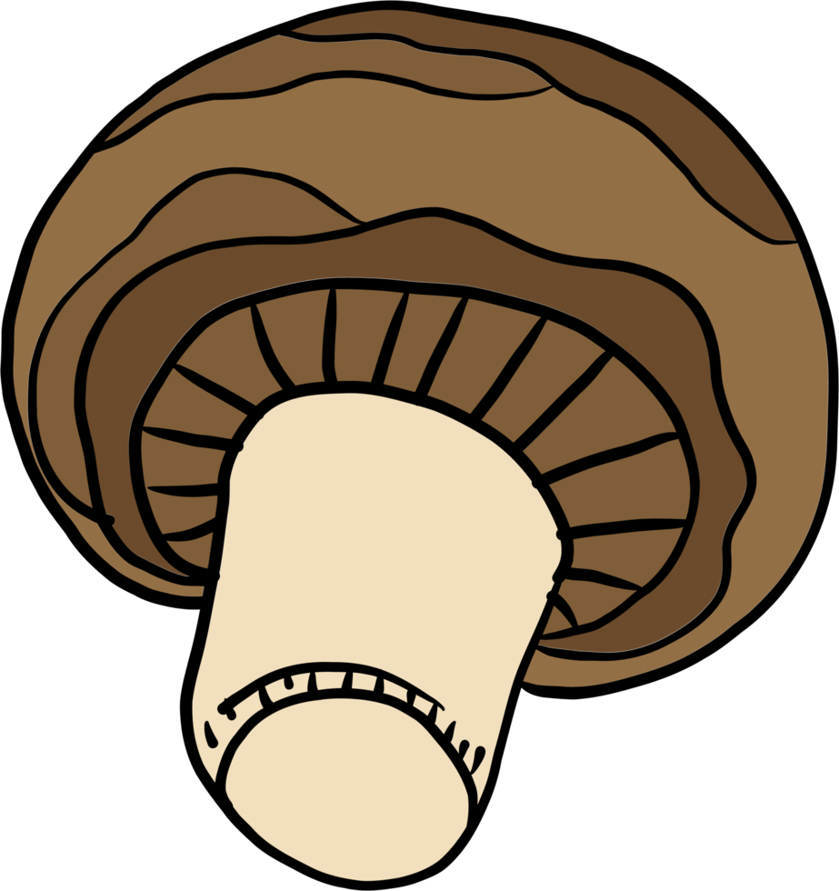 doodle freehand sketch drawing of mushroom vegetable. png