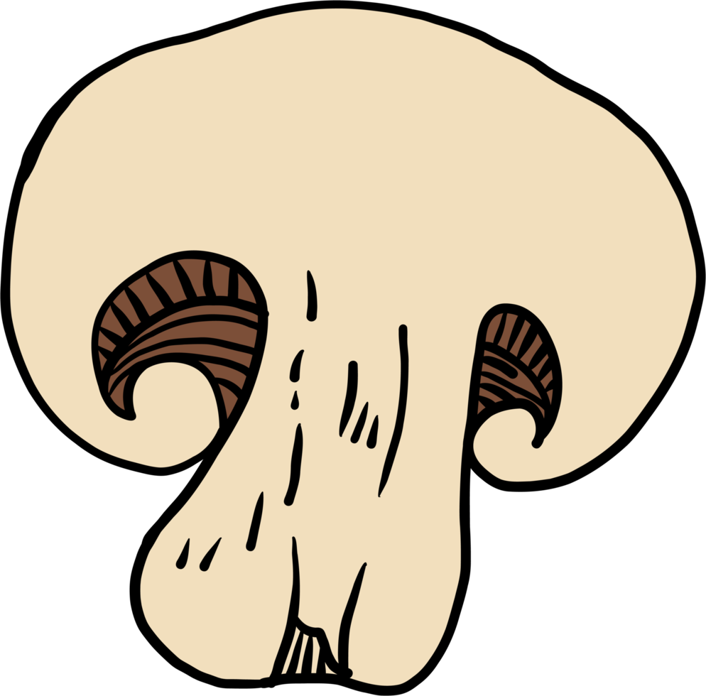 doodle desenho à mão livre de cogumelos vegetais. png