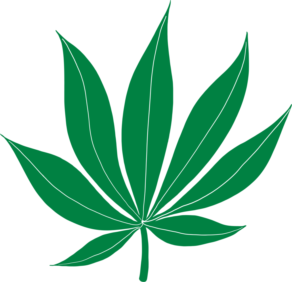 Simplicity cannabis leaf freehand drawing flat design. png