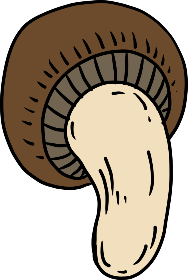 doodle freehand sketch drawing of mushroom vegetable. png