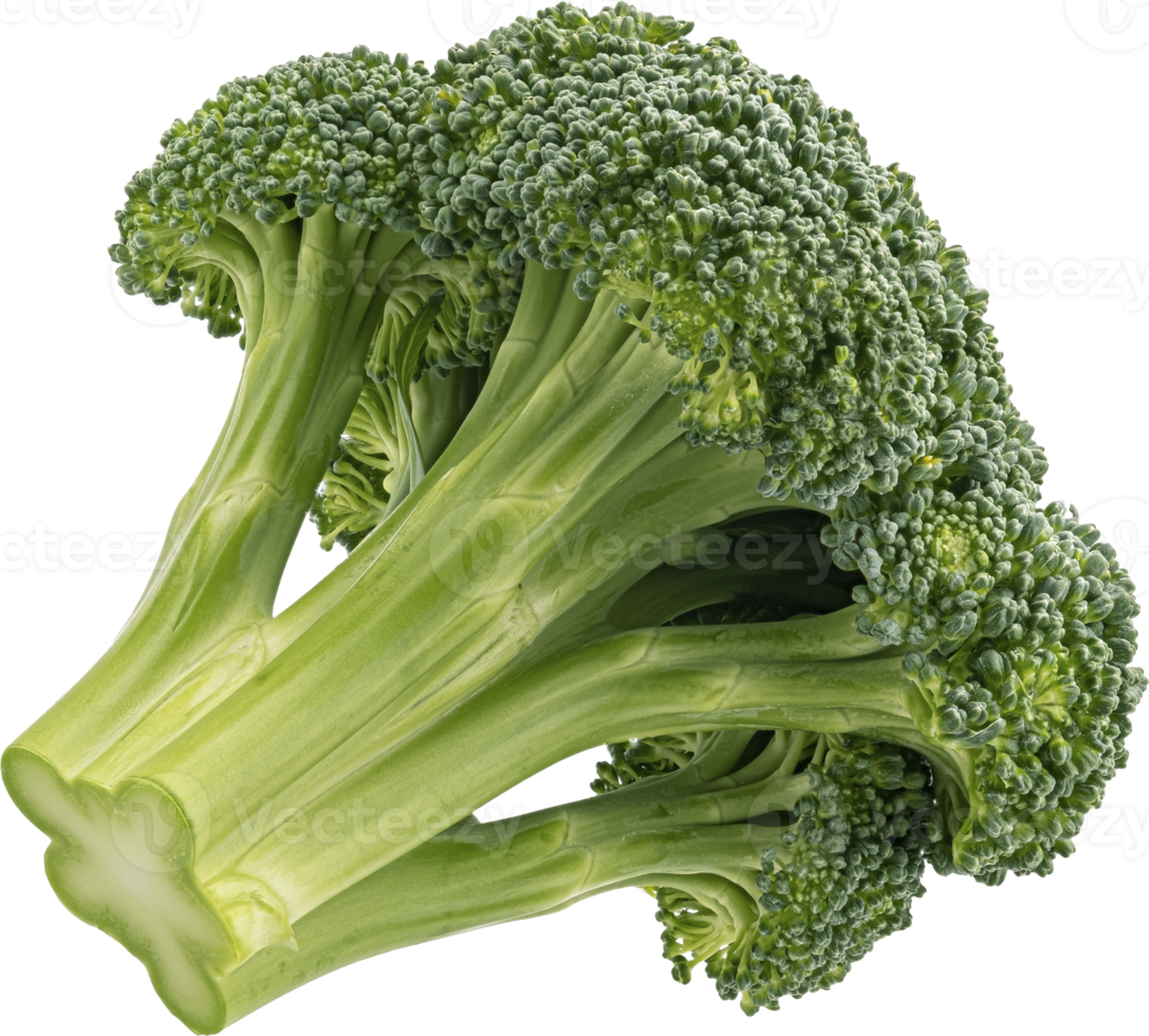 Broccoli isolated on white background, full depth of field png