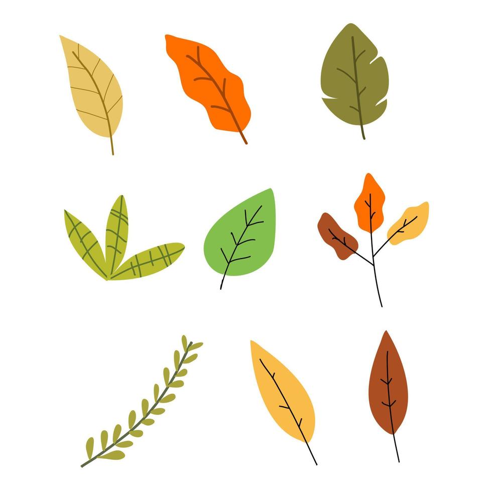 Leaves Vector with Colorful Leaves