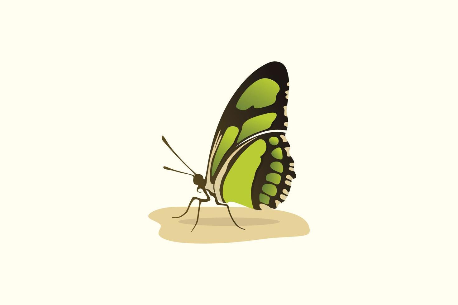 inspiración de logotipo de mariposa, diseño de logotipo vector