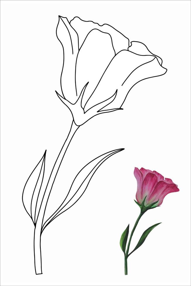 flor de eustoma, lisianthus en la ilustración de vector de estilo garabato para colorear libro, páginas para colorear.ai