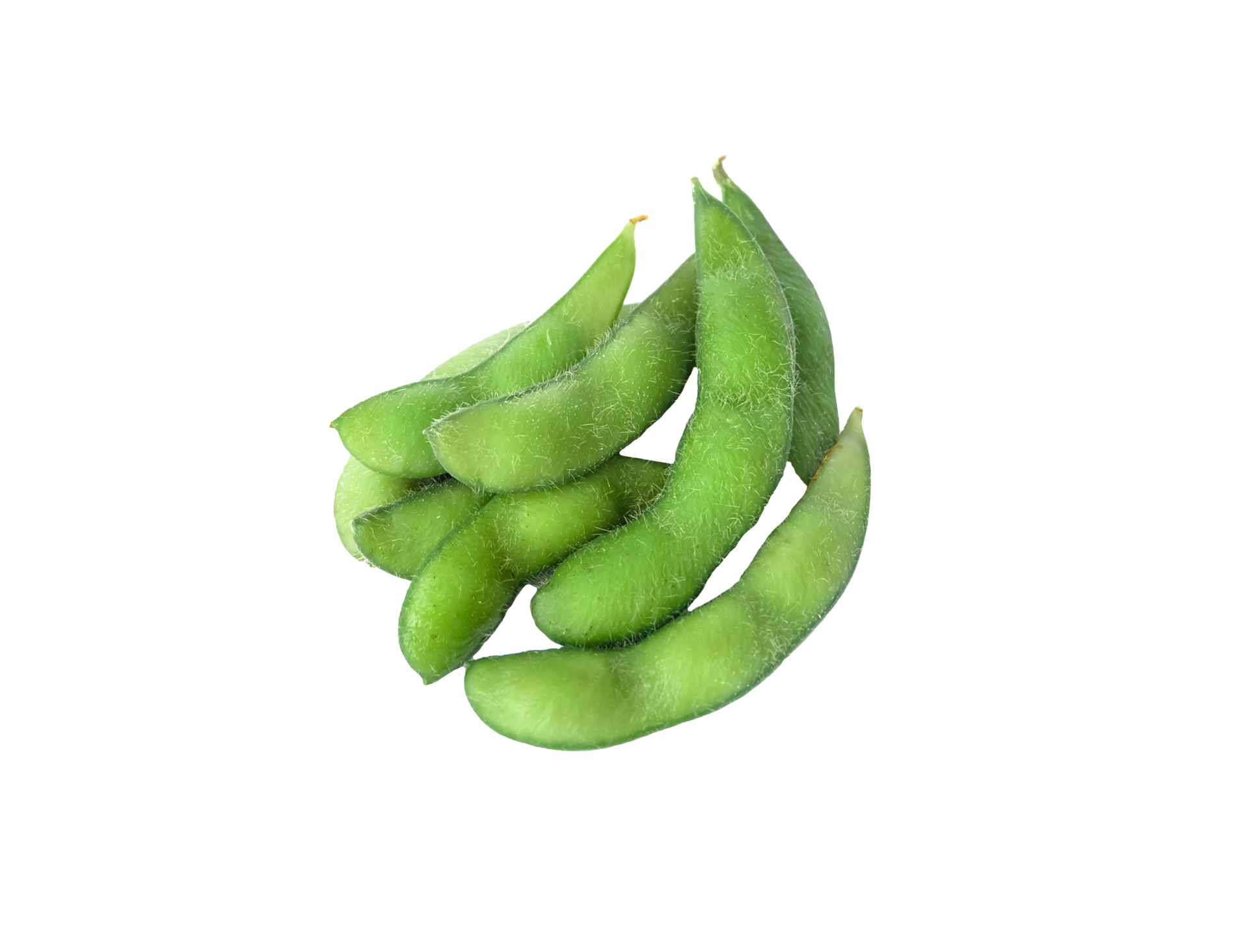 green soybeans isolated 10834955 PNG