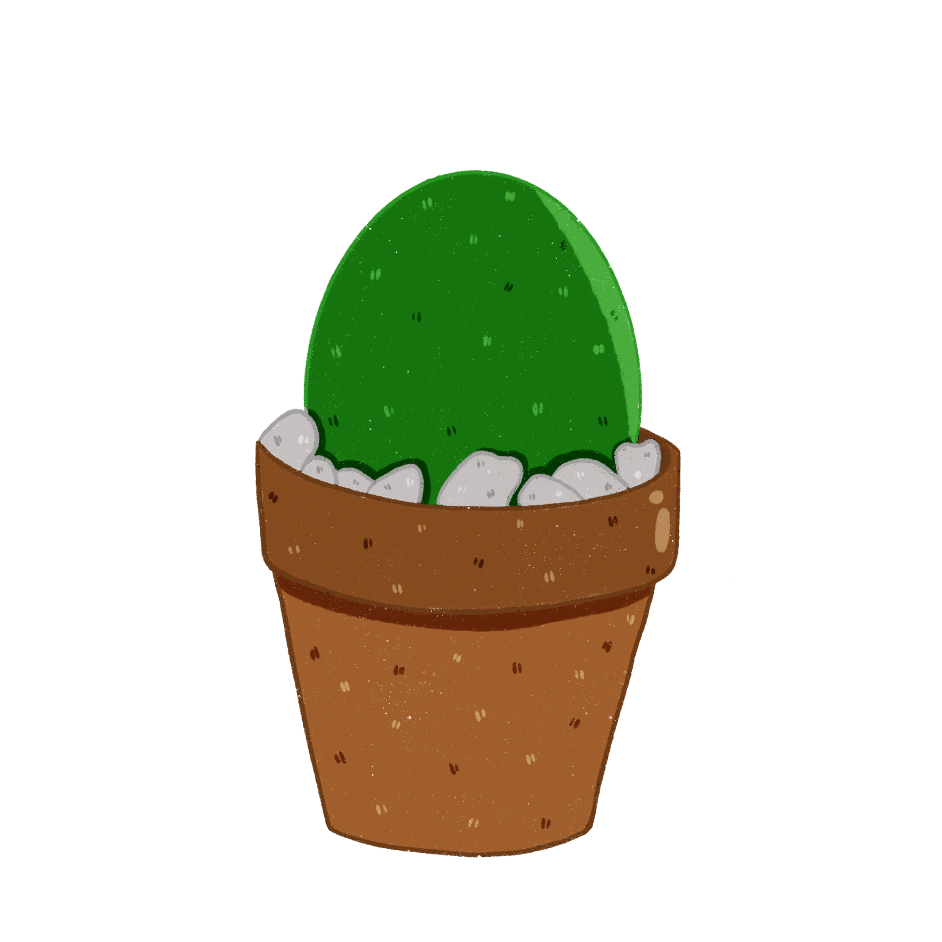 Cactus in pot 10835038 PNG