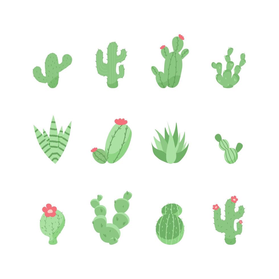 Cute cactus and succulents. Vector illustration. 10835107 Vector Art at Vecteezy