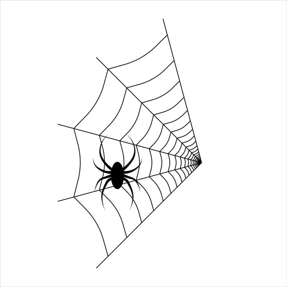 Spider on the web. Vector illustration.