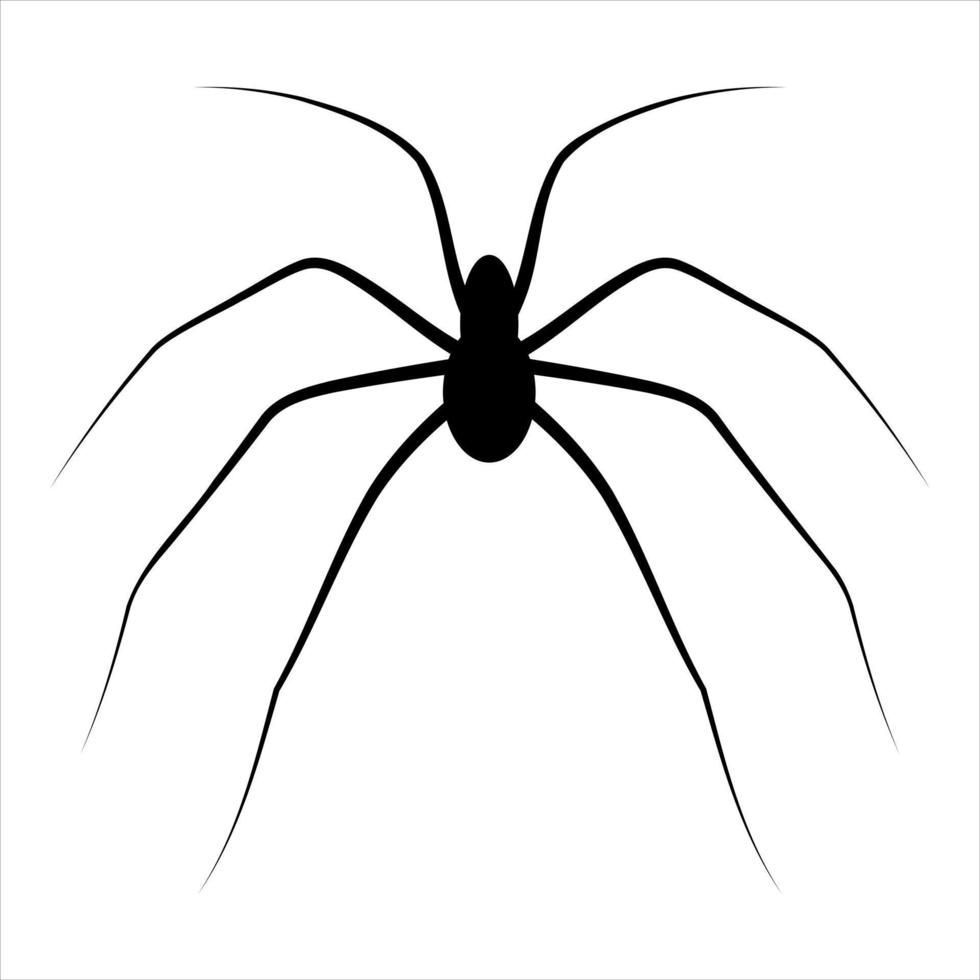 Spider silhouette icon for halloween. Vector illustration.