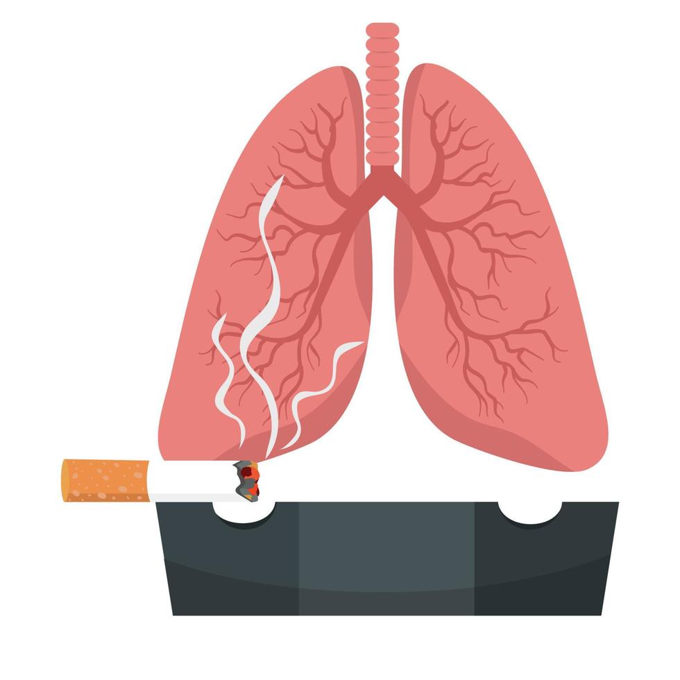 Cigarettes ceramic ashtray with lungs vector