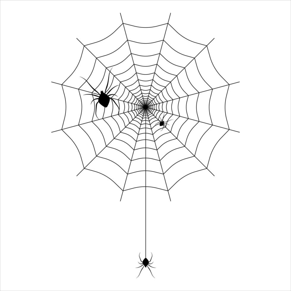 Spiders on the web. Vector illustration.