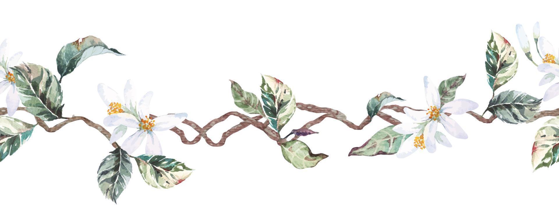 Seamless border leaves and flowers with watercolor. Botanical rim for border design.Style nature vector