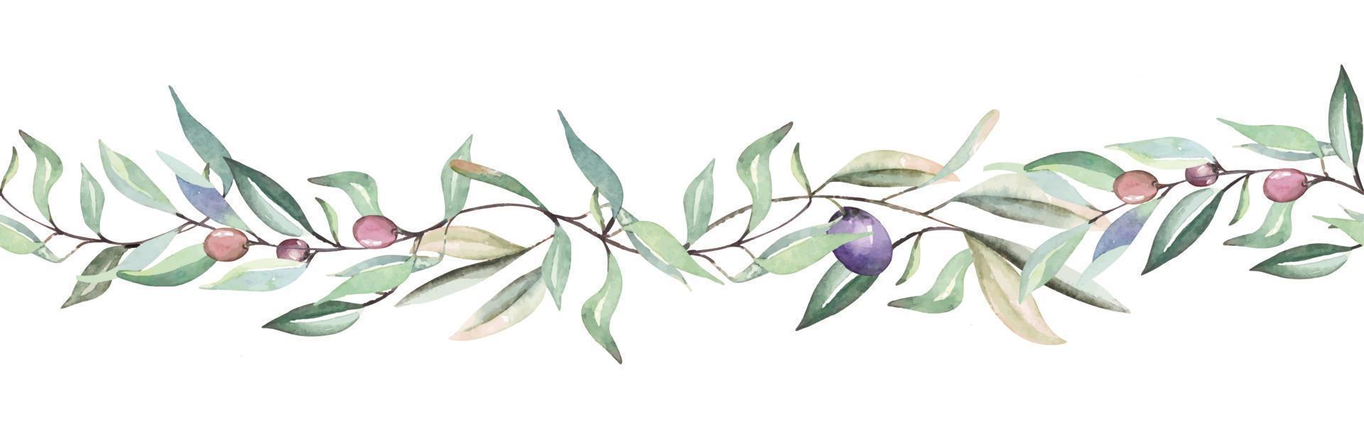 Seamless border leaves and olive with watercolor. Botanical rim for border design.Style nature vector