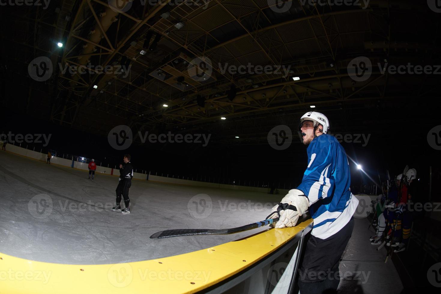 ice hockey players on bench photo