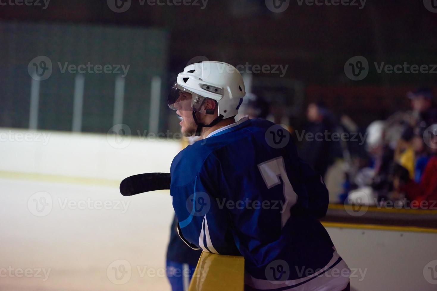 ice hockey players on bench photo