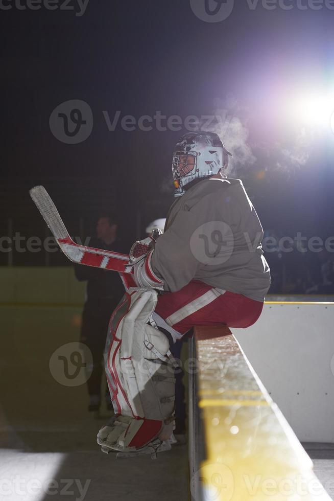 ice hockey players on bench photo