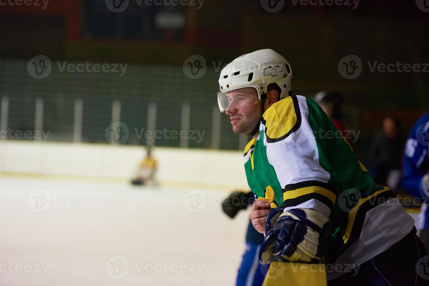 ice hockey players on bench photo
