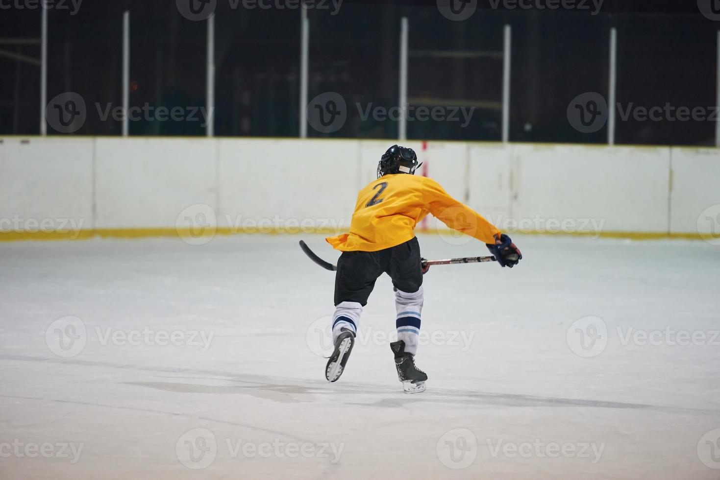 ice hockey player in action photo