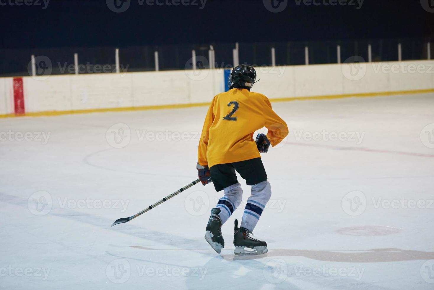 ice hockey player in action photo