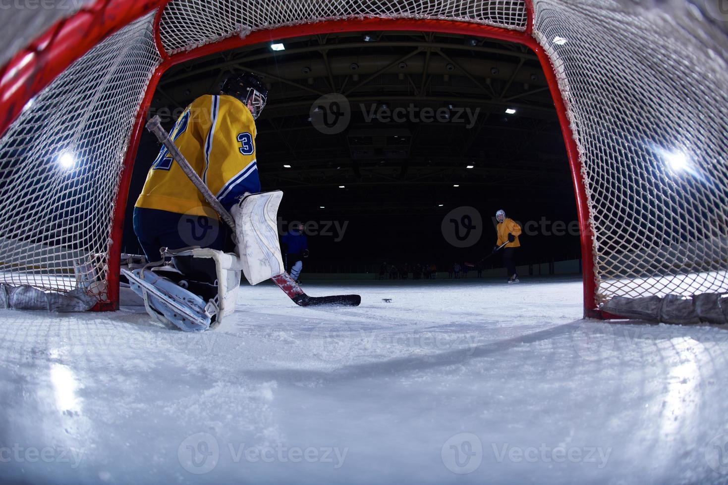 ice hockey goalkeeper photo