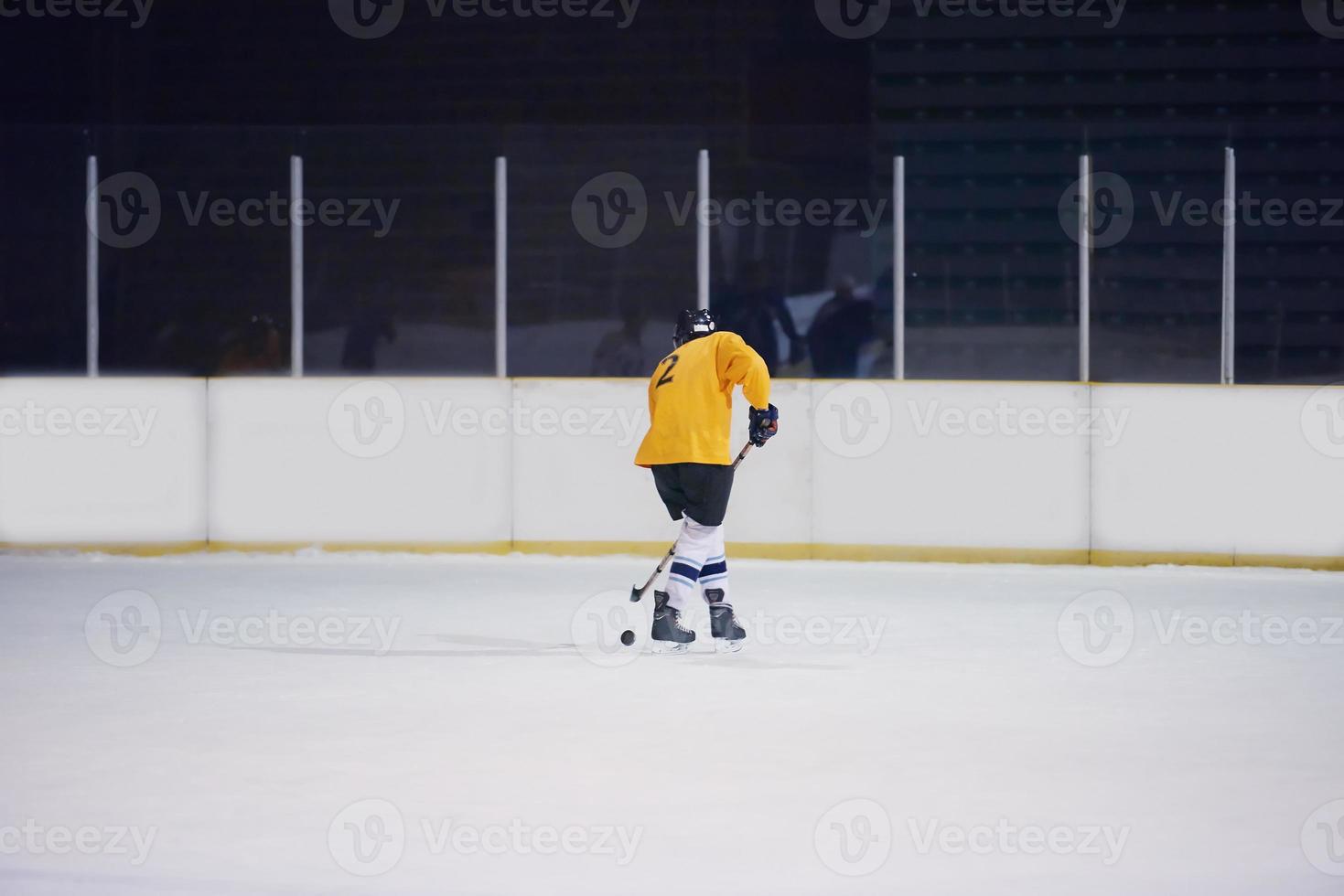ice hockey player in action photo