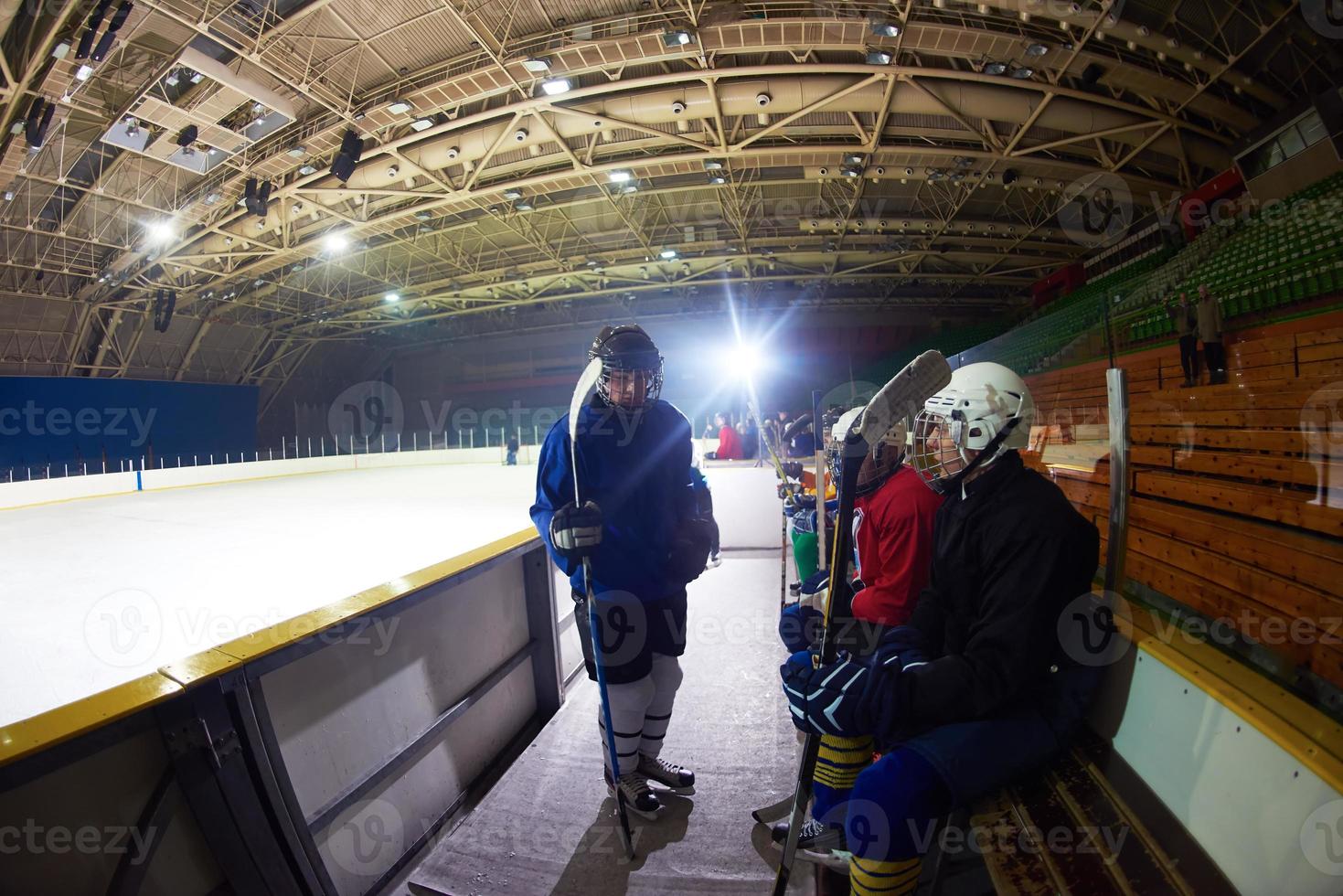 ice hockey players on bench photo