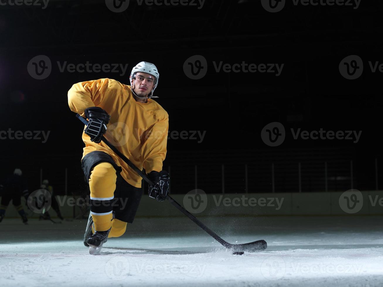 ice hockey player in action photo