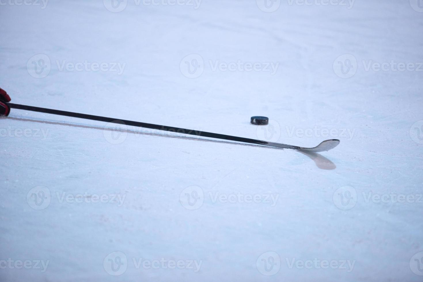 ice hockey player portrait photo