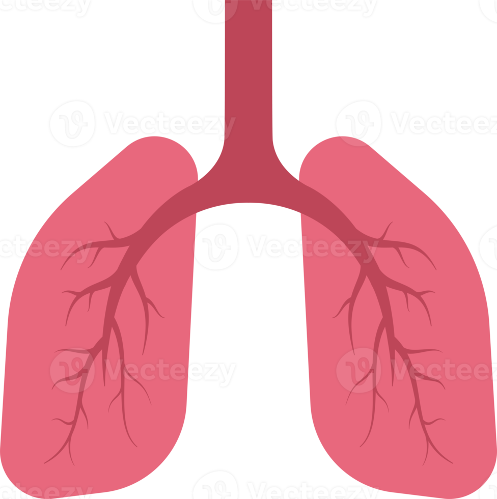 Lung sign flat icon png