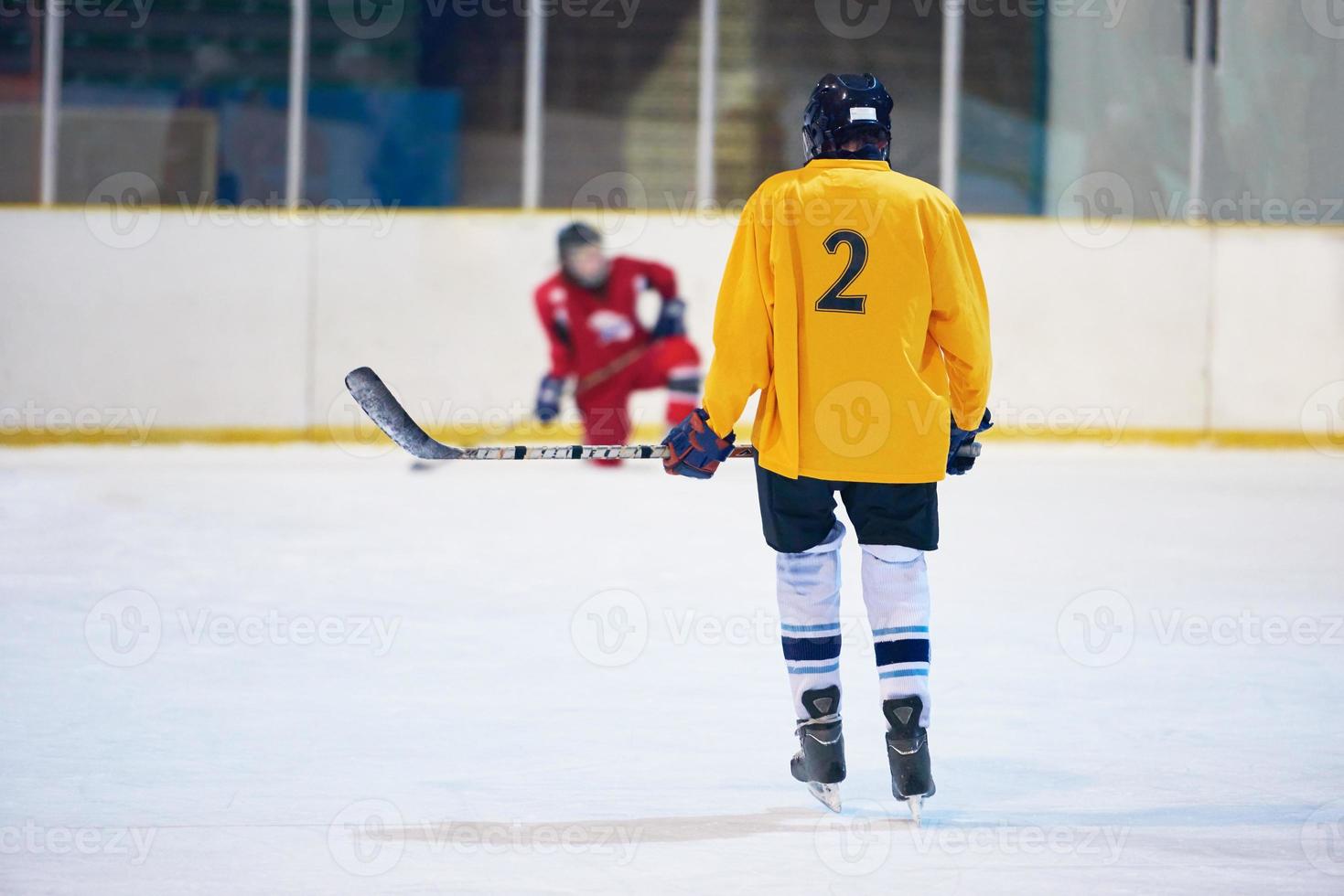 ice hockey player in action photo