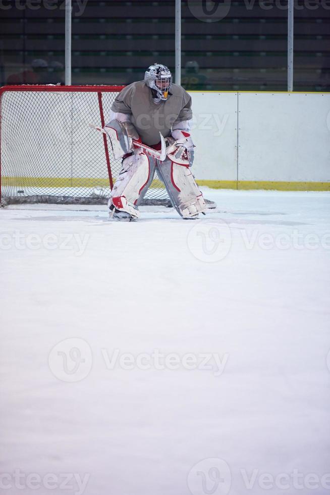 ice hockey player in action photo