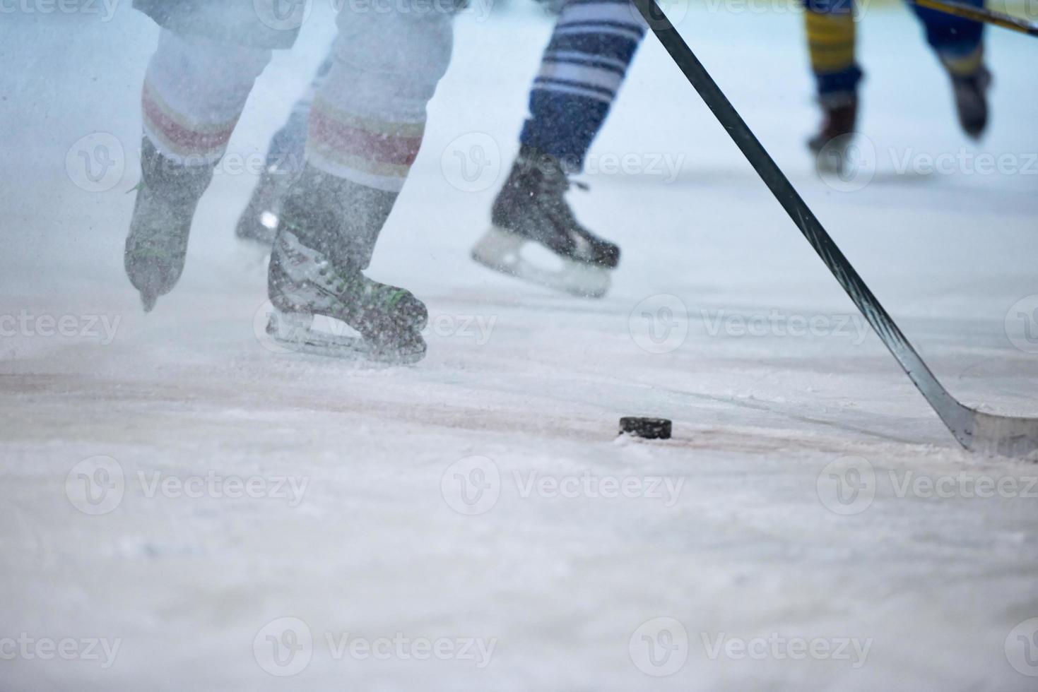 ice hockey player in action photo