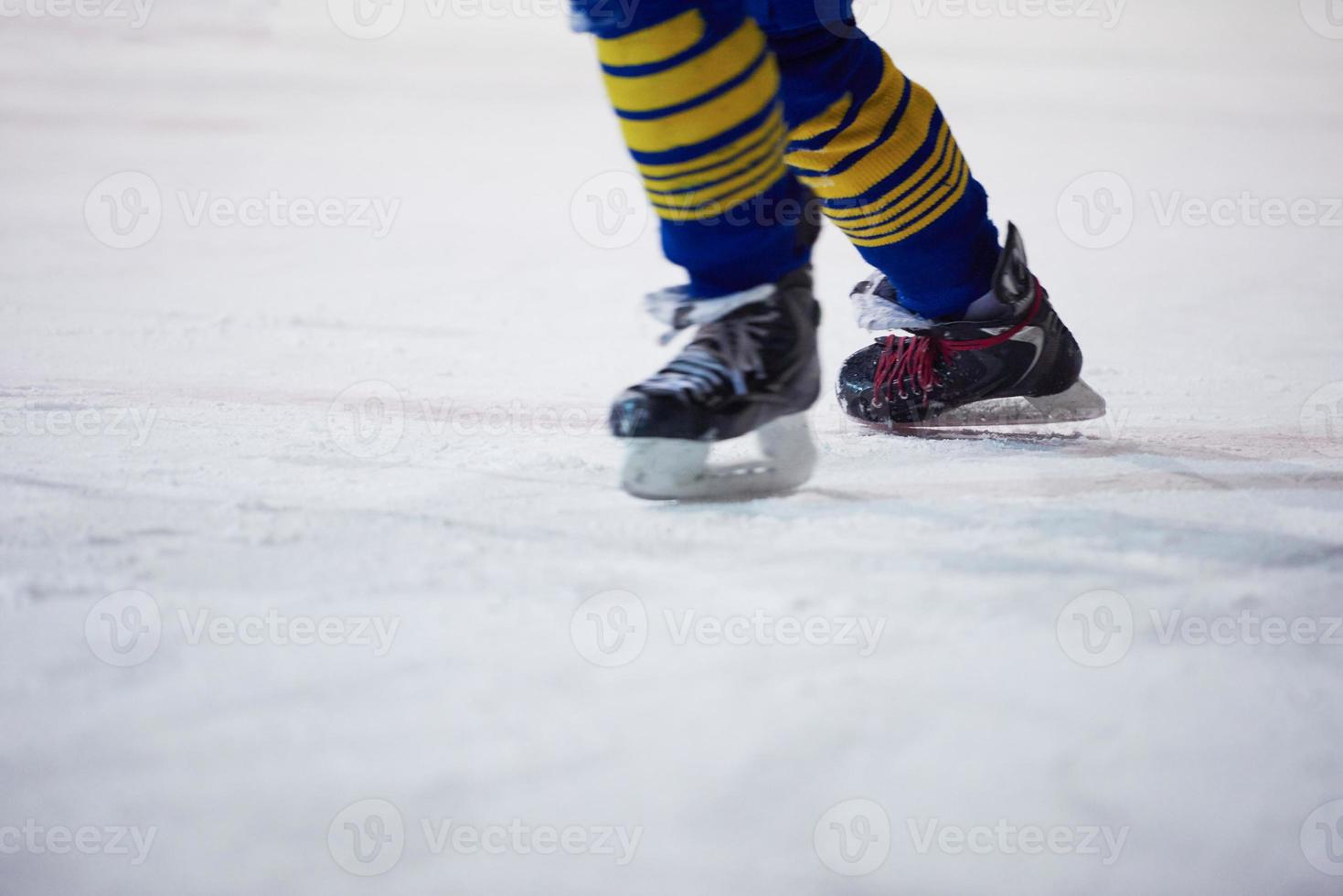 ice hockey player in action photo