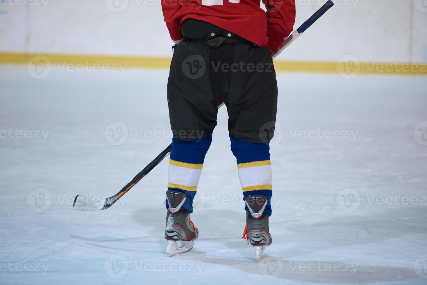 ice hockey player in action photo