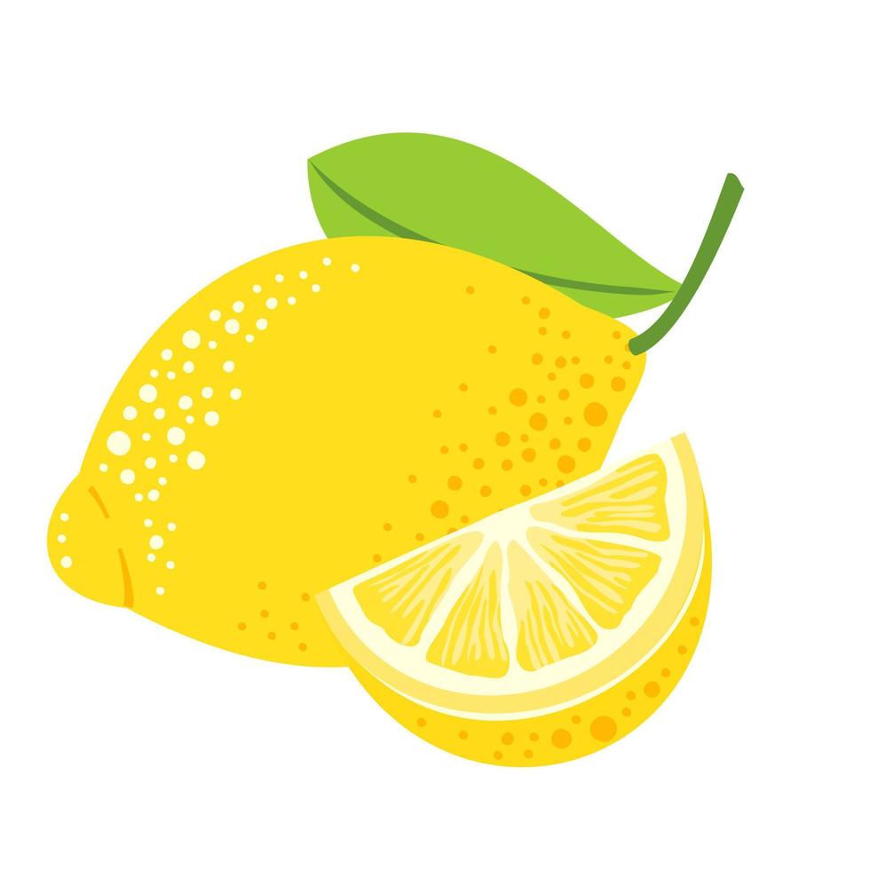 Lemon fruit with a leaf and a cut slice. vector