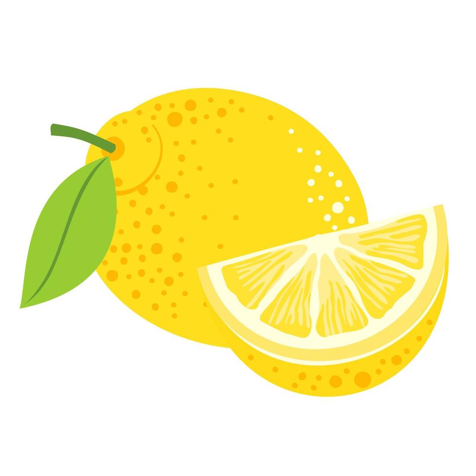 Lemon fruit and a slice. vector