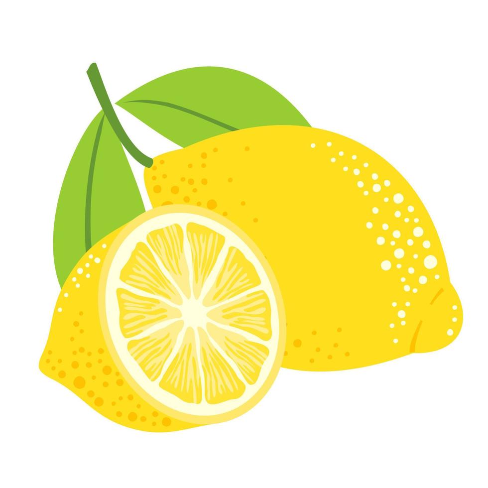 Lemon fruits and lemon half with leaves. vector