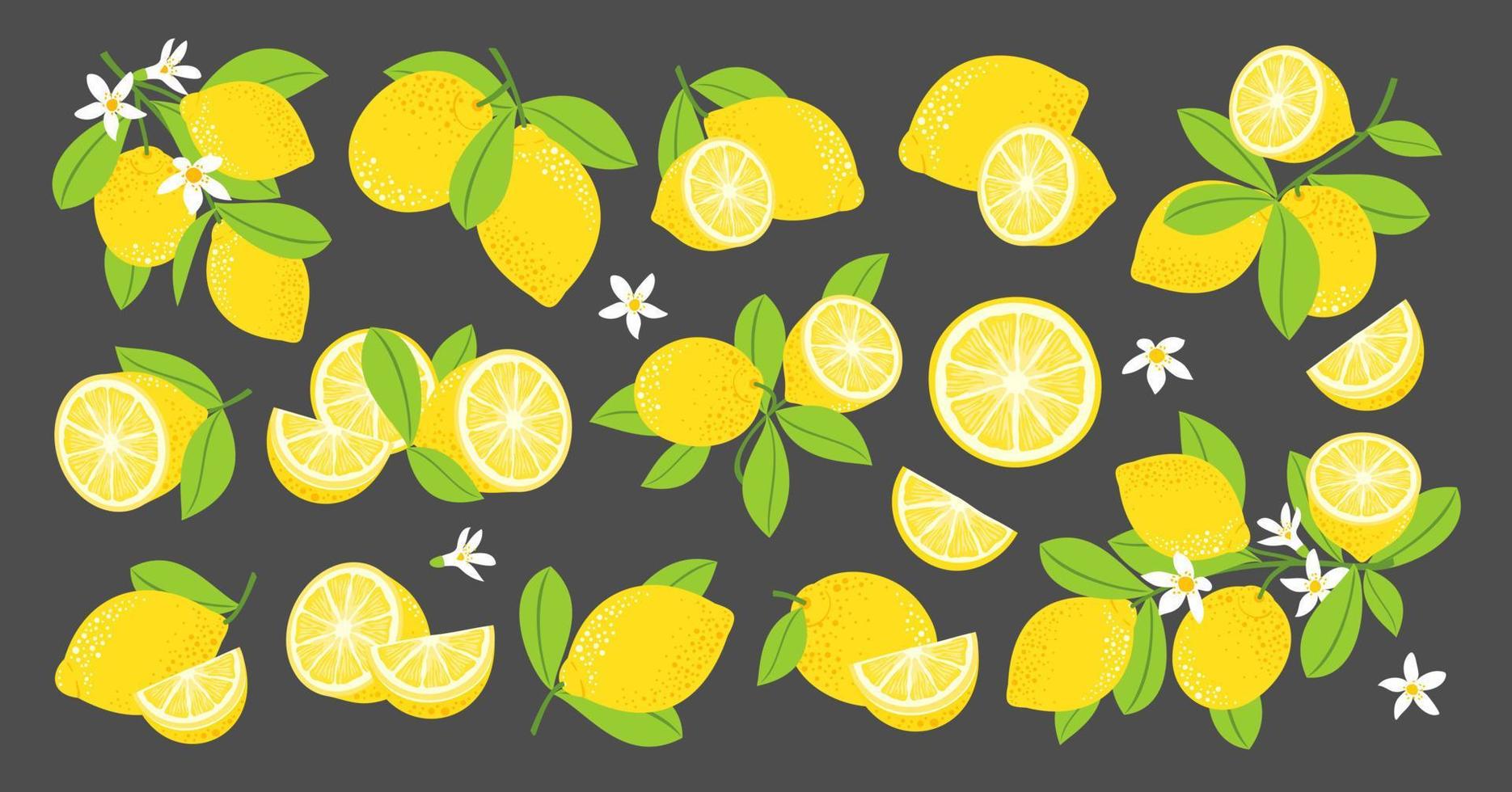 Lemon vector set. Lemon blossoming branches. Lemon fruits, halves, leaves, flowers.