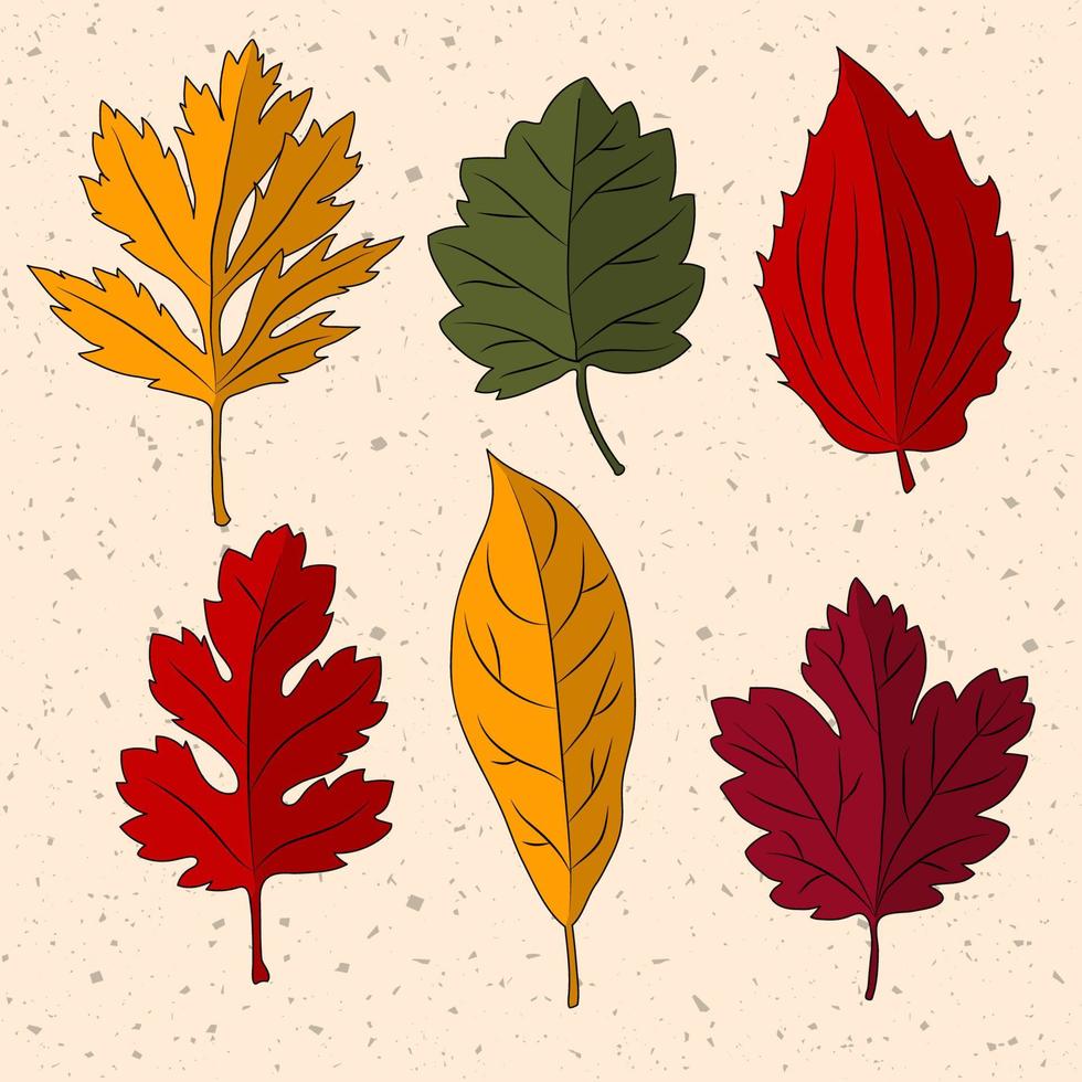 conjunto de hojas de otoño. aislado vector